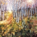 Early Morning, Late Summer