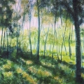 Edge of a Woods, Sunrise