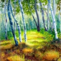 Grassy Path among Poplars