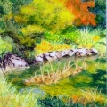 Pond Edge