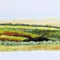 Prairie-Hills