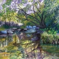 Stream above a Rock Ford