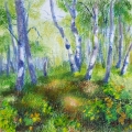Woods Path to the North