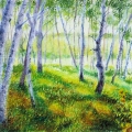 Woods Path to the South