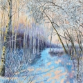 Frost at Sunrise