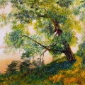 Black Willow, Sunset