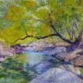 Tree and Rocky Shore