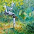 bent poplar I