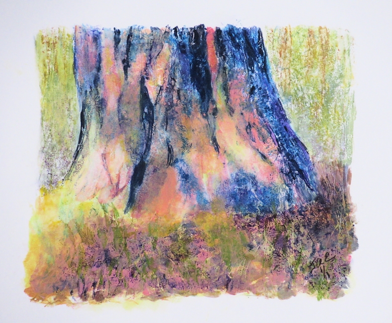 Base-of-Pine-Tree