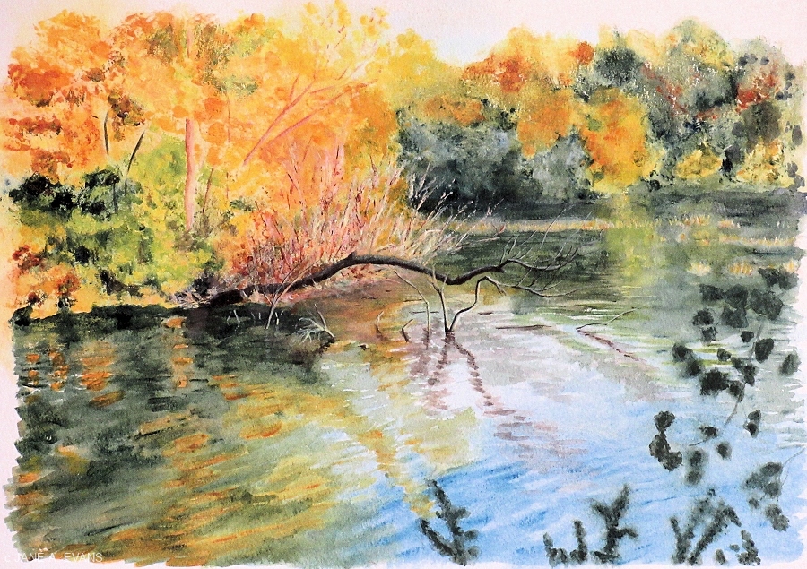 Bay-with-Fallen-Tree