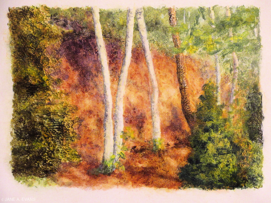 Cliffside-Path-at-Sunset