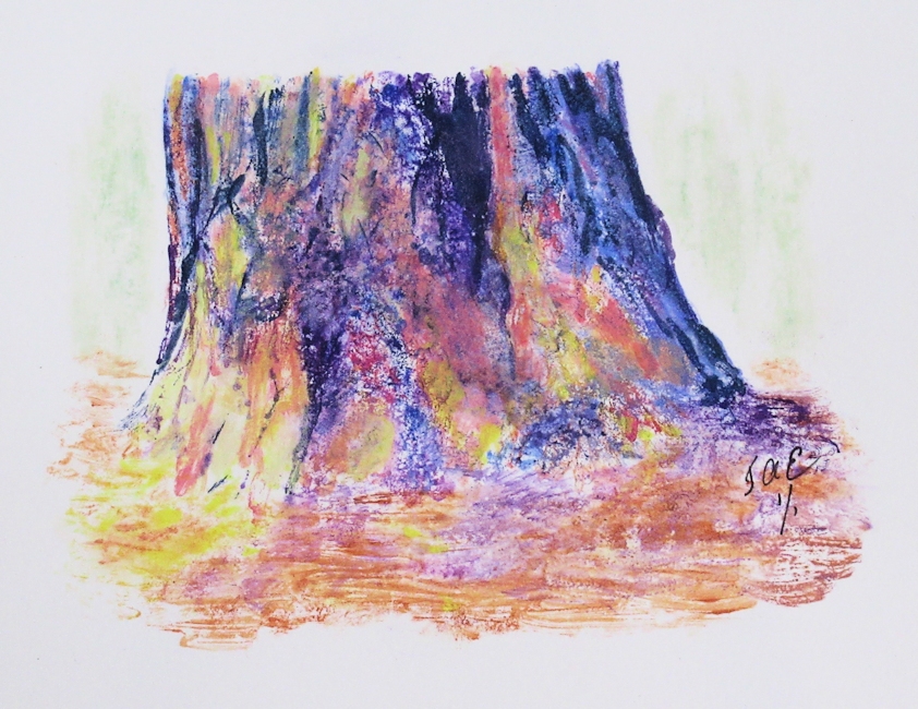 Pine