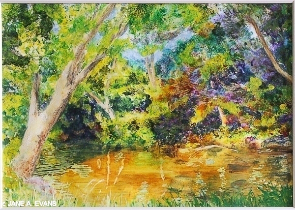 Sunlit Stream Bend