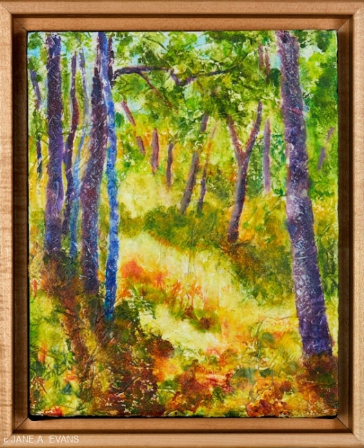 Sunny-Pathway