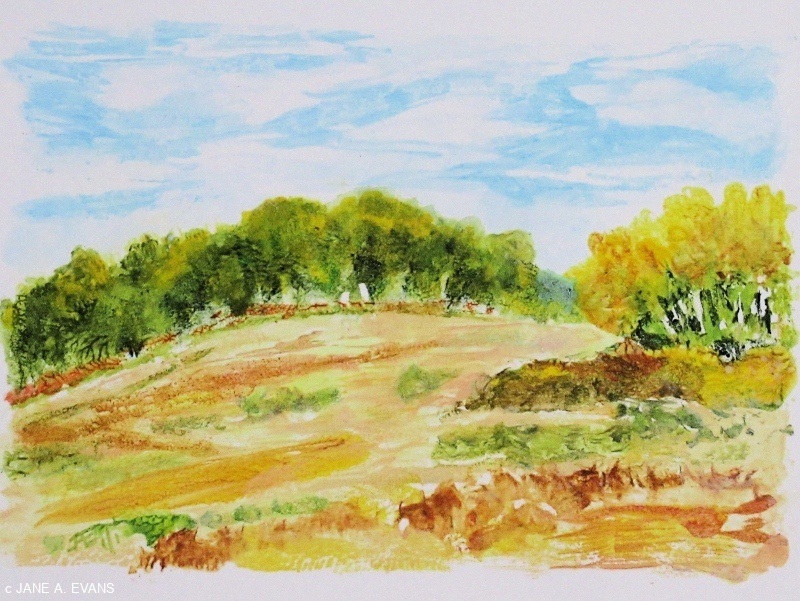 Under-an-Autumn-Sky
