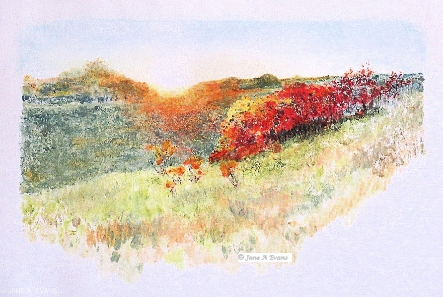 Wild-Cherry-Bushes-w-cprt