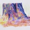 Pine