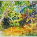 Sunlit Stream Bend