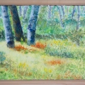 Verge-in-Sunlight