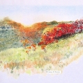 Wild-Cherry-Bushes-w-cprt