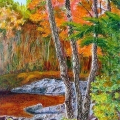 Birch Cove