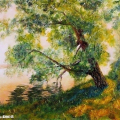 Black Willow, Sunset