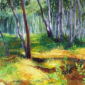 Morning Light on a Knoll