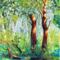 Old Tree and Stump