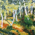 Within a Woods